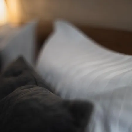 Apartment Memorandumului Ultracentral Cu Parcare Privata